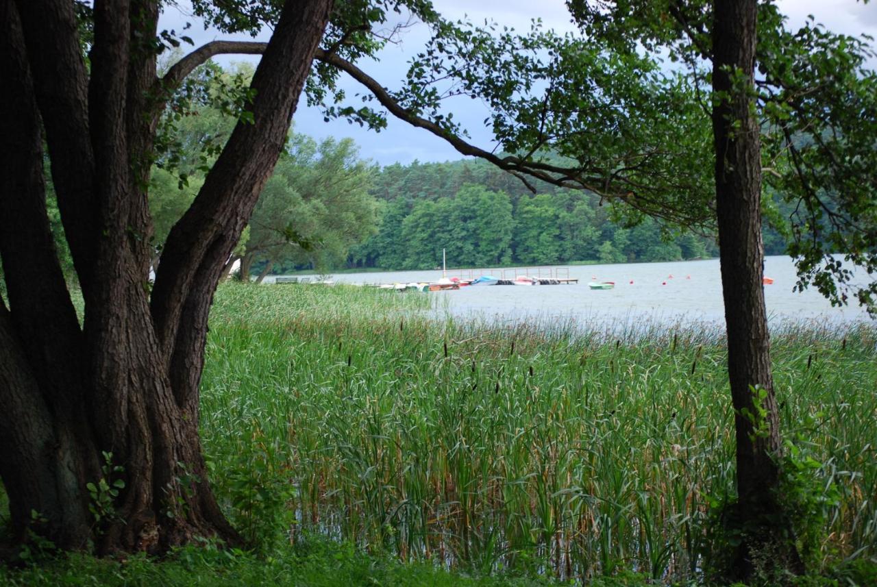 Osrodek Wypoczynkowy Laguna Chalet *