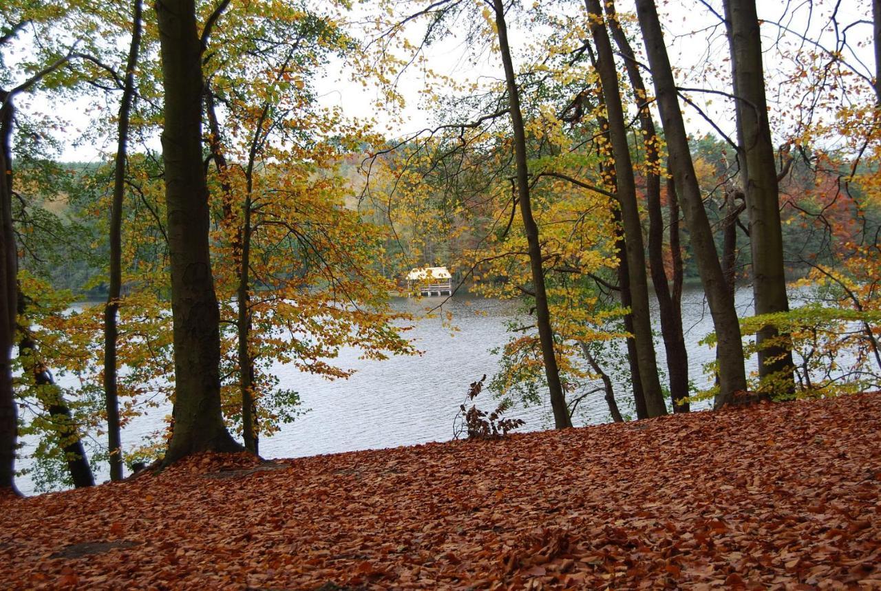 Osrodek Wypoczynkowy Laguna